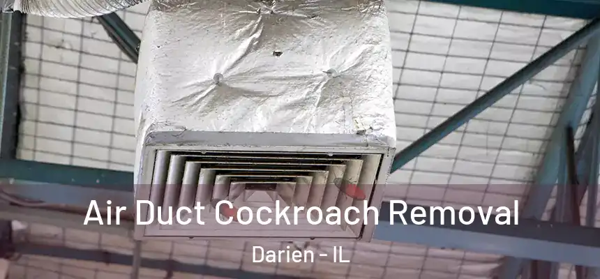  Air Duct Cockroach Removal Darien - IL