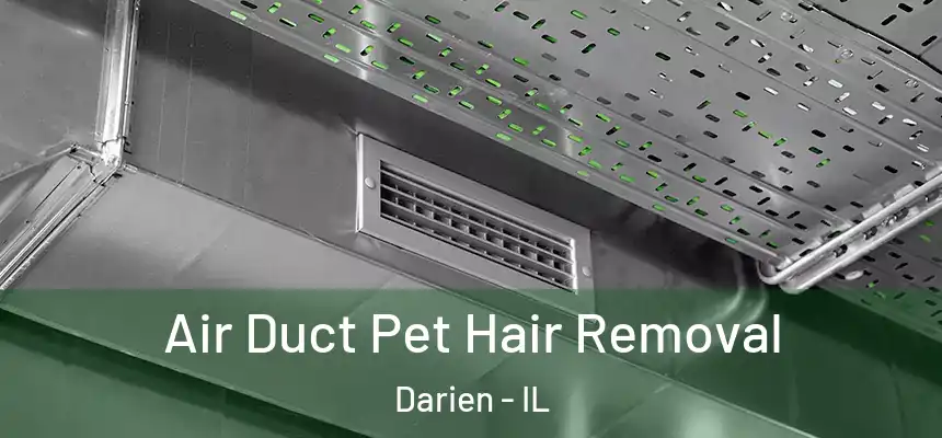  Air Duct Pet Hair Removal Darien - IL