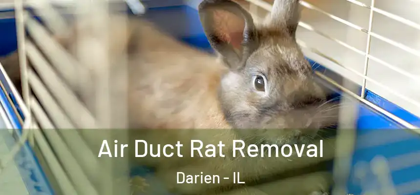 Air Duct Rat Removal Darien - IL