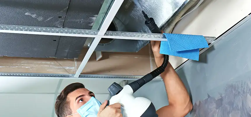 Our Air Duct Rodent Removal Services in Darien, IL
