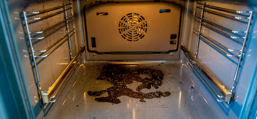 Our Dryer Vent Mold Cleaning Services in Darien, IL