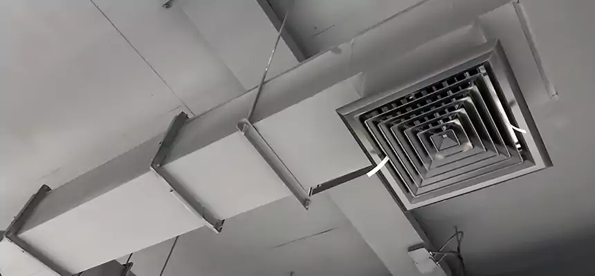 Our Rodent Droppings In Vents Services in Darien, IL