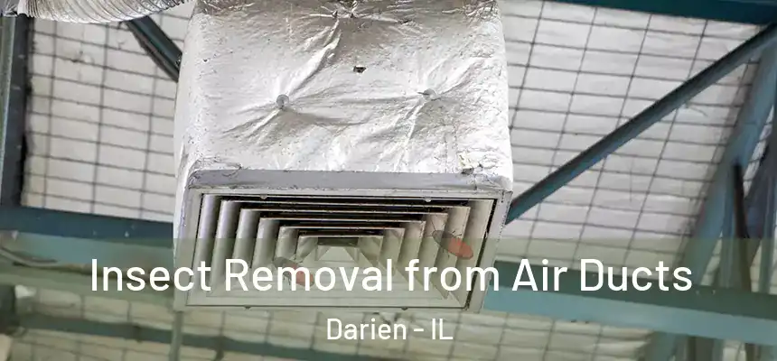  Insect Removal from Air Ducts Darien - IL