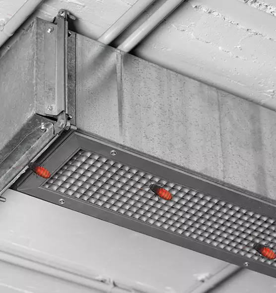 About Air Duct Cockroach Removal in Darien, IL