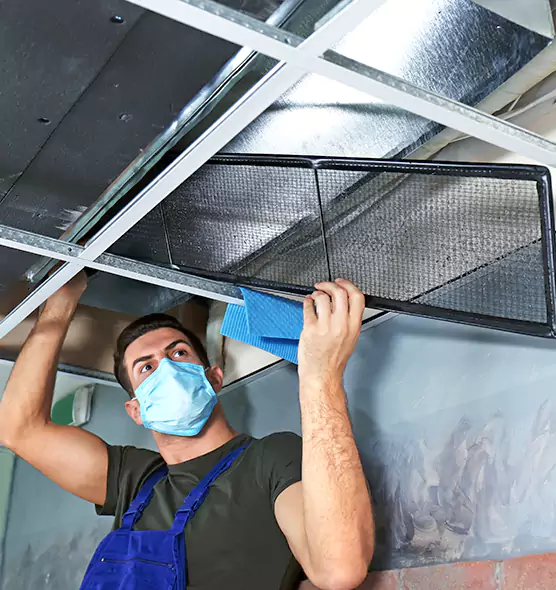 Professional Air Duct Pollen Cleaning in Darien, IL