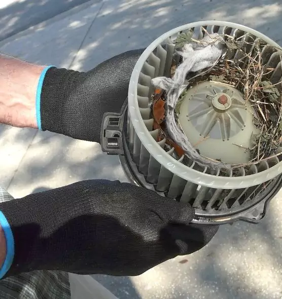 About Air Duct Rat Removal in Darien, IL