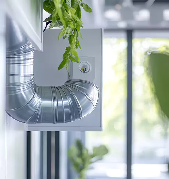 Professional Eco-Friendly Duct Cleaning Services in Darien, IL
