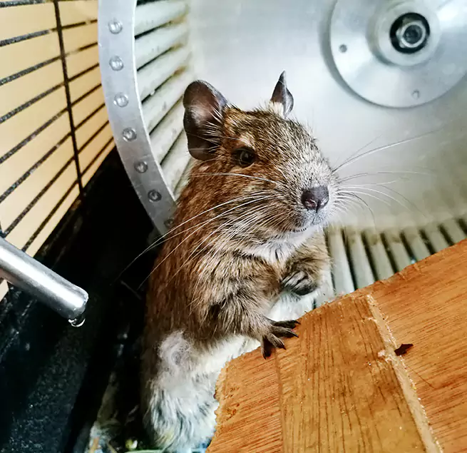 Why Homeowners & Businesses Trust Us Darien, IL