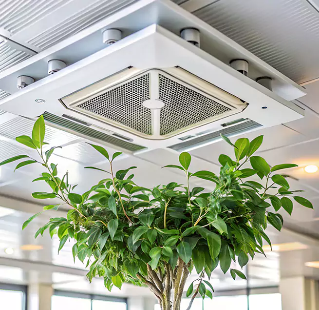 Why Homeowners & Businesses Trust Us in Darien, IL