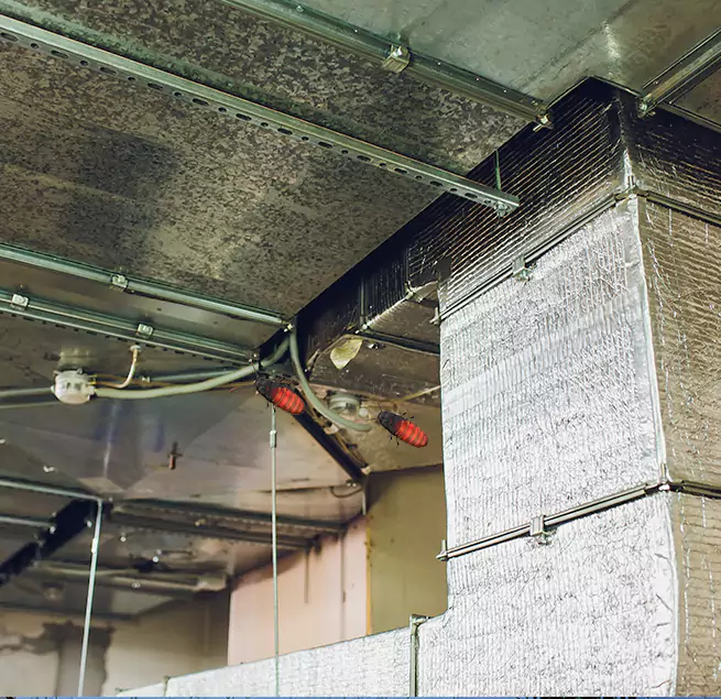 Why Homeowners & Businesses Trust Us Darien, IL?