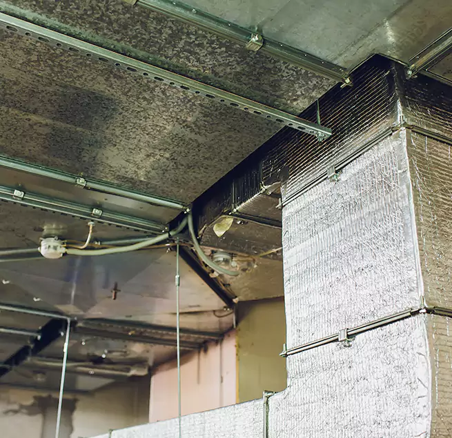 Why Homeowners & Businesses Trust Us in Darien, IL?